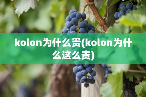 kolon为什么贵(kolon为什么这么贵)