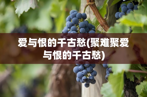 爱与恨的千古愁(聚难聚爱与恨的千古愁)