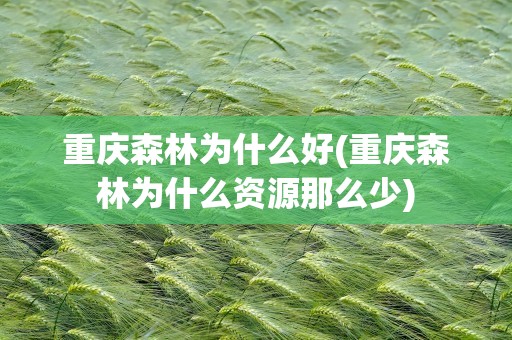 重庆森林为什么好(重庆森林为什么资源那么少)