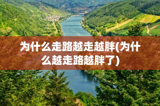 为什么走路越走越胖(为什么越走路越胖了)