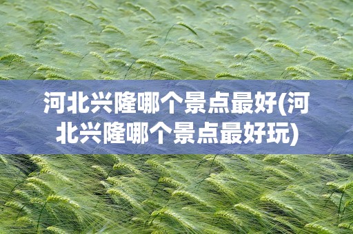 河北兴隆哪个景点最好(河北兴隆哪个景点最好玩)