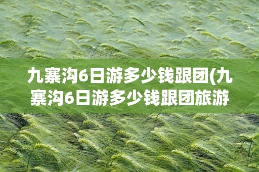九寨沟6日游多少钱跟团(九寨沟6日游多少钱跟团旅游)