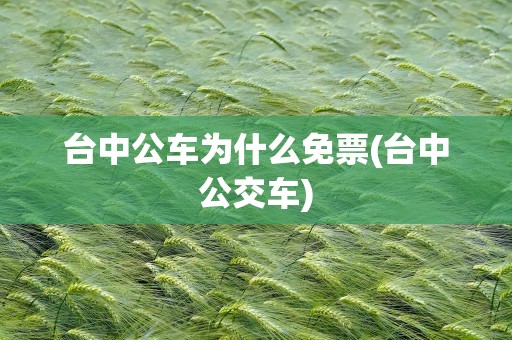 台中公车为什么免票(台中公交车)