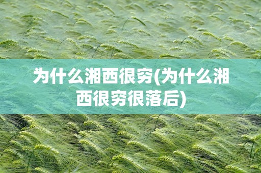 为什么湘西很穷(为什么湘西很穷很落后)