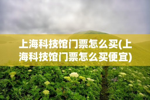上海科技馆门票怎么买(上海科技馆门票怎么买便宜)
