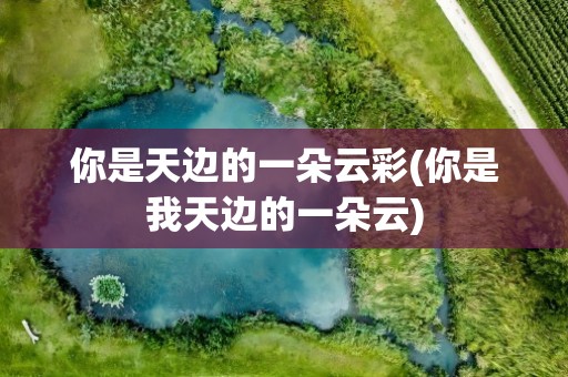 你是天边的一朵云彩(你是我天边的一朵云)