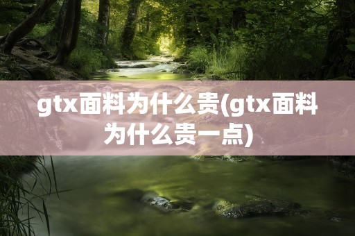 gtx面料为什么贵(gtx面料为什么贵一点)