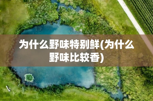 为什么野味特别鲜(为什么野味比较香)