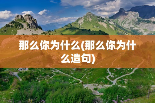 那么你为什么(那么你为什么造句)
