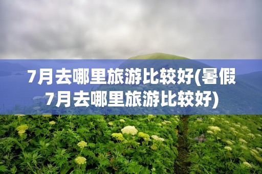7月去哪里旅游比较好(暑假7月去哪里旅游比较好)