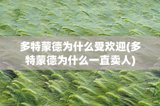 多特蒙德为什么受欢迎(多特蒙德为什么一直卖人)