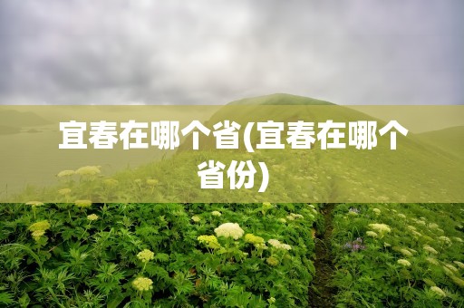 宜春在哪个省(宜春在哪个省份)
