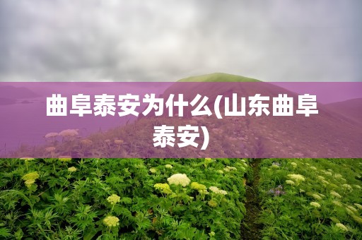 曲阜泰安为什么(山东曲阜泰安)