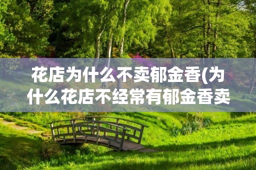 花店为什么不卖郁金香(为什么花店不经常有郁金香卖)
