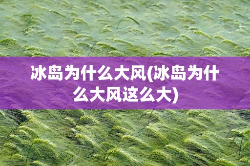 冰岛为什么大风(冰岛为什么大风这么大)