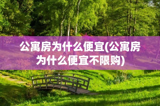 公寓房为什么便宜(公寓房为什么便宜不限购)