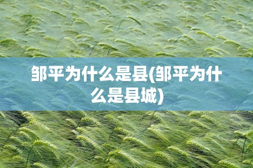 邹平为什么是县(邹平为什么是县城)