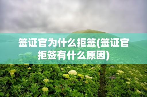 签证官为什么拒签(签证官拒签有什么原因)