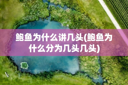 鲍鱼为什么讲几头(鲍鱼为什么分为几头几头)