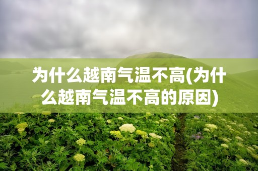 为什么越南气温不高(为什么越南气温不高的原因)
