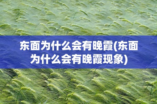 东面为什么会有晚霞(东面为什么会有晚霞现象)