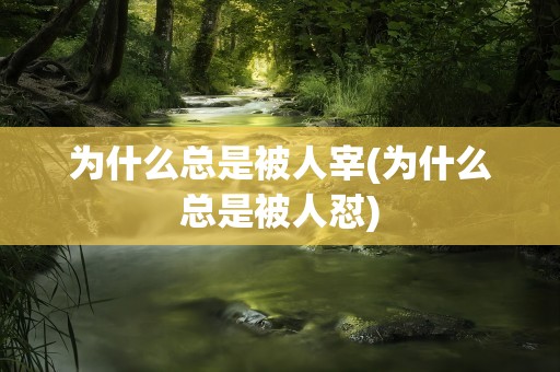 为什么总是被人宰(为什么总是被人怼)