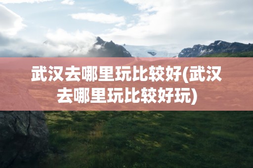 武汉去哪里玩比较好(武汉去哪里玩比较好玩)