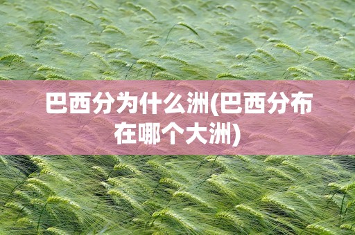 巴西分为什么洲(巴西分布在哪个大洲)