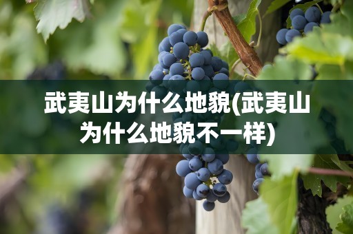 武夷山为什么地貌(武夷山为什么地貌不一样)