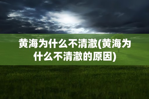 黄海为什么不清澈(黄海为什么不清澈的原因)