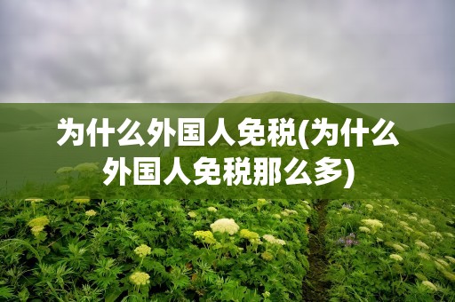为什么外国人免税(为什么外国人免税那么多)