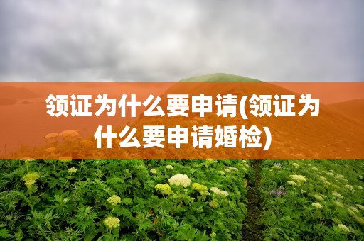 领证为什么要申请(领证为什么要申请婚检)