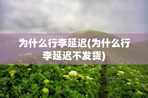 为什么行李延迟(为什么行李延迟不发货)