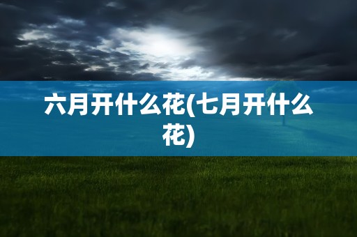 六月开什么花(七月开什么花)