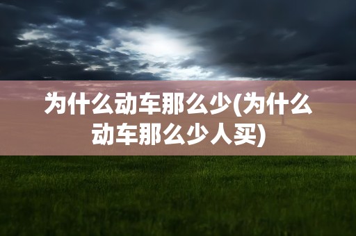 为什么动车那么少(为什么动车那么少人买)