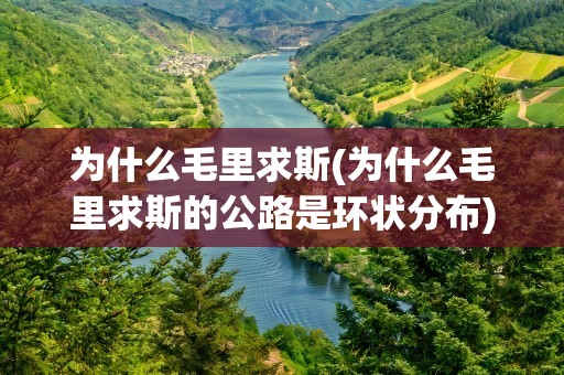 为什么毛里求斯(为什么毛里求斯的公路是环状分布)