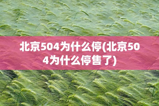 北京504为什么停(北京504为什么停售了)