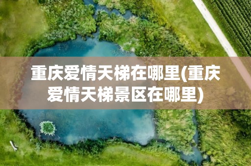 重庆爱情天梯在哪里(重庆爱情天梯景区在哪里)