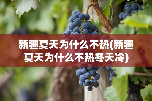 新疆夏天为什么不热(新疆夏天为什么不热冬天冷)