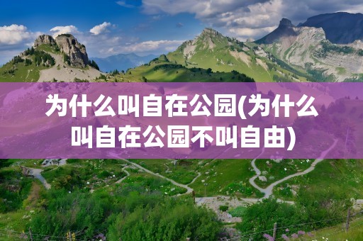 为什么叫自在公园(为什么叫自在公园不叫自由)