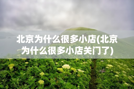 北京为什么很多小店(北京为什么很多小店关门了)