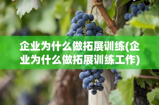 企业为什么做拓展训练(企业为什么做拓展训练工作)