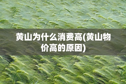 黄山为什么消费高(黄山物价高的原因)
