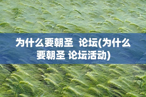 为什么要朝圣  论坛(为什么要朝圣 论坛活动)