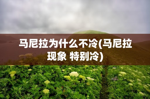 马尼拉为什么不冷(马尼拉现象 特别冷)