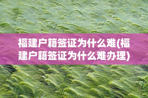 福建户籍签证为什么难(福建户籍签证为什么难办理)