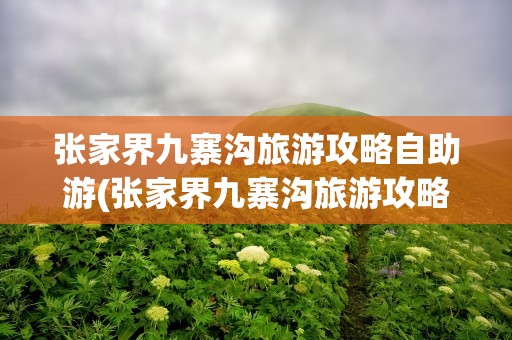 张家界九寨沟旅游攻略自助游(张家界九寨沟旅游攻略自助游多少钱)