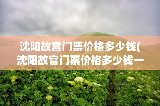 沈阳故宫门票价格多少钱(沈阳故宫门票价格多少钱一张)
