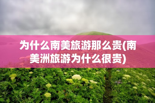 为什么南美旅游那么贵(南美洲旅游为什么很贵)