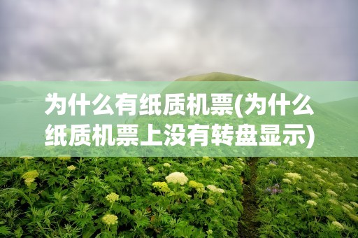为什么有纸质机票(为什么纸质机票上没有转盘显示)
